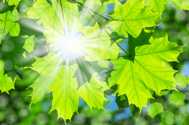 Similar image 5746795