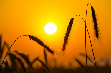 Similar image 5746797