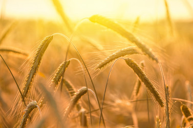 Similar image 5746799