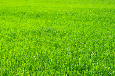 Similar image 5746800