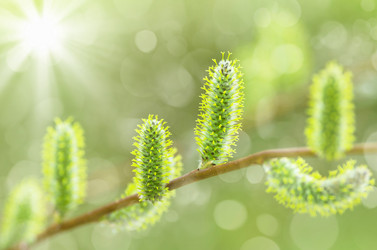 Similar image 5746802