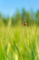 Similar image 5746806