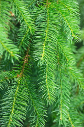 Similar image 5746815