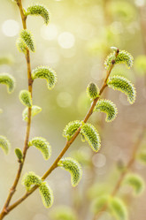 Similar image 5746817