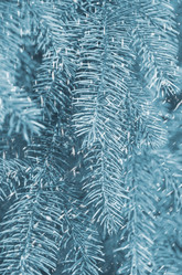 Similar image 5746819