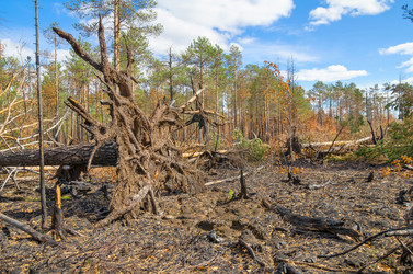 Similar image 5746820