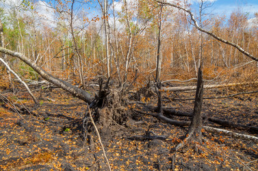 Similar image 5746821