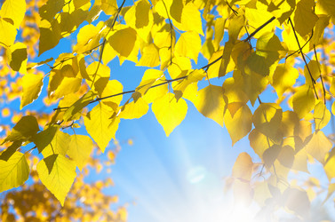 Similar image 5746822