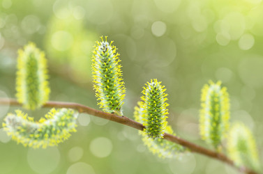 Similar image 5746823