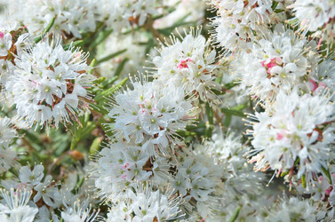 Similar image 5746824