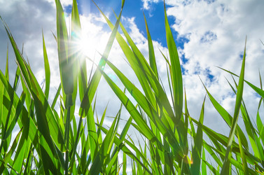 Similar image 5746825