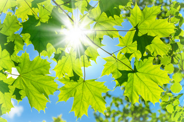 Similar image 5746832