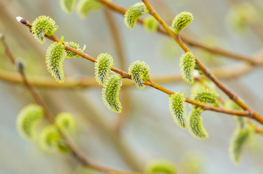 Similar image 5746833