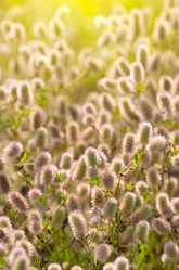 Similar image 5746834