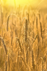 Similar image 5746843