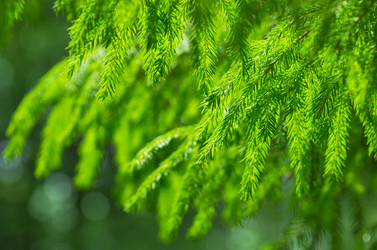 Similar image 5746848