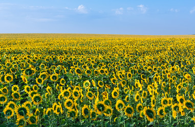 Similar image 5746934