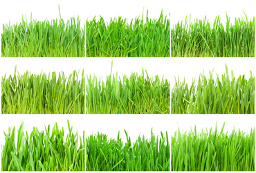 Similar image 5746939