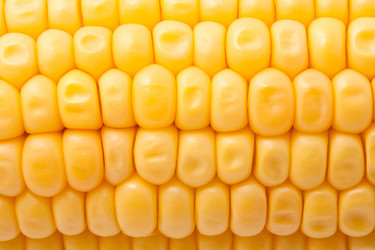 Similar image 5746955