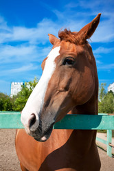 Similar image 5746975