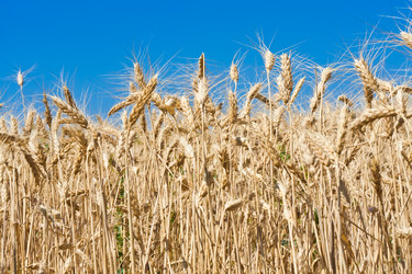 Similar image 5746994