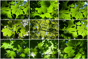 Similar image 5747000