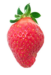 Similar image 5747006