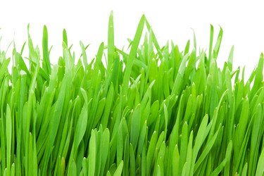 Similar image 5747009