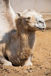 Similar image 5747023