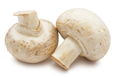 Similar image 5747024