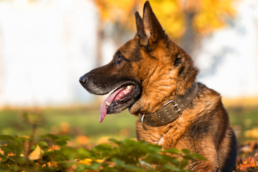 Similar image 5747171