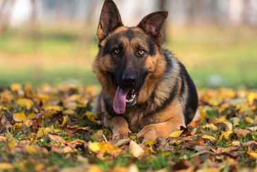 Similar image 5747174