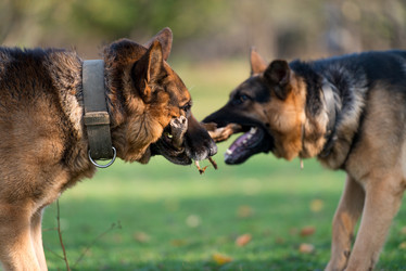 Similar image 5747175