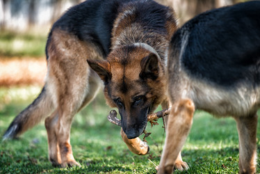 Similar image 5747176