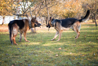 Similar image 5747184