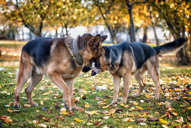 Similar image 5747186