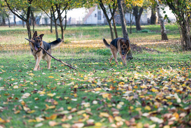 Similar image 5747193