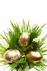 Similar image 5747199