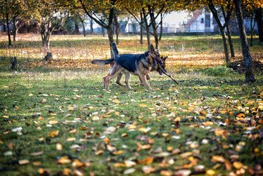 Similar image 5747214