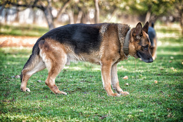 Similar image 5747216