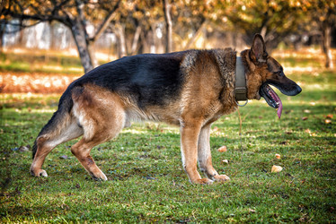 Similar image 5747217