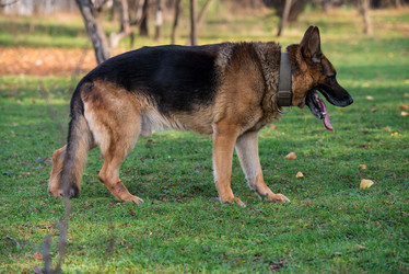 Similar image 5747220