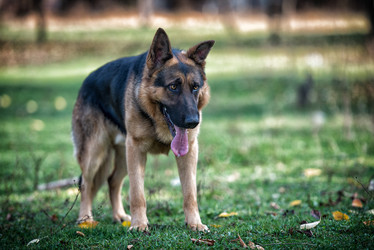 Similar image 5747223