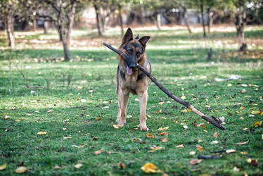 Similar image 5747226