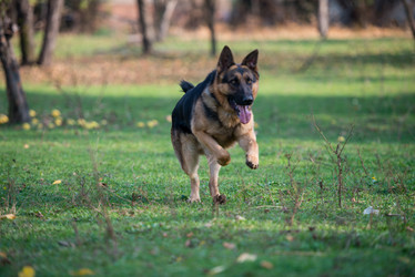 Similar image 5747229