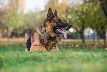 Similar image 5747245