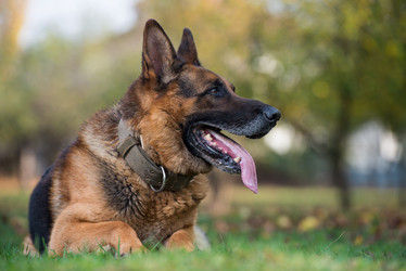 Similar image 5747267