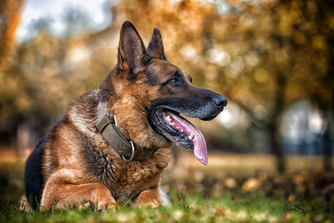 Similar image 5747269