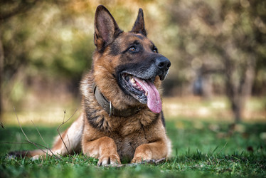 Similar image 5747271