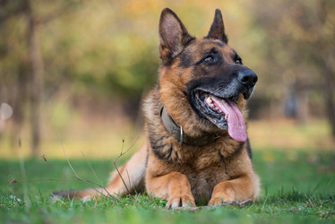 Similar image 5747272